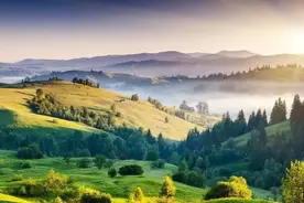 当别人说“你长得好像‘某某’明星”时，如何用高情商回应图片