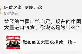 奇谈怪论之“曾经的中国自给自足，现在的中国大量进口粮食”图片