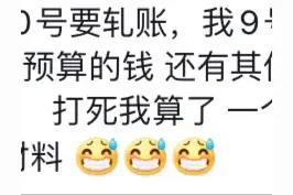 猪和会计最怕过年图片