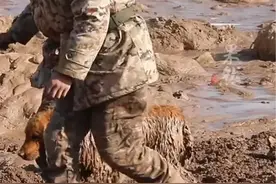 金毛被困30余小时后获救 青海震区现“狗坚强” 现已被送回安置点与主人团聚图片