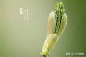 2024立春时间：你相信吗？今年的立春很特殊，大家要早做准备图片