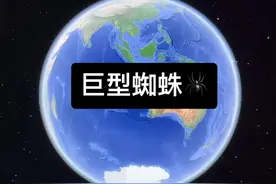 发现巨型蜘蛛😂#卫星地图 #探索地球 #不可思议视频封面