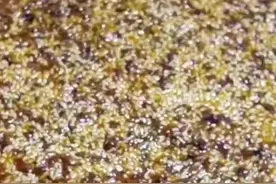 辣椒油加碱变辣，加醋变红，加酒增香，加蜂蜜提高辣椒油黏稠度，学废了吗？？？