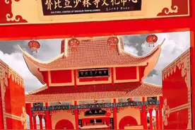 #中国武术发扬光大 #少林寺初三 我也跟个风 #黄飞鸿起手式挑战视频封面