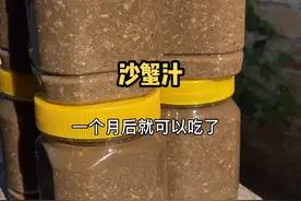 一道广西北海独有的灵魂蘸料--沙蟹酱，我们海边人每家每户都爱吃#我的乡村生活 #广西创作者人视频封面