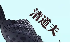 清道夫到底能不能吃？#美食趣胃计划 #美食推荐官视频封面