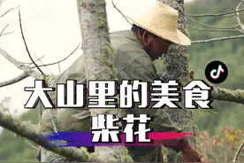 冷冷的冬天，又到了吃“柴花”的季节#我的乡村生活 #农村美食 #新农人计划2021 