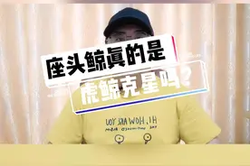 座头鲸真的是虎鲸克星吗？#奇妙知识在抖音 #奇葩冷知识 #段子手 #虎鲸 