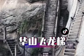 飞龙梯见证华山险的历史！出门要趁早要不就体验不了了！#旅行大玩家 #名胜古迹 #一起爬山 @抖音短视频视频封面