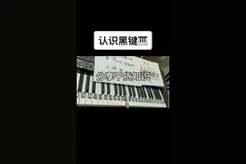 #零基础电子琴 认识黑键✅