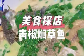 #刘大勺下饭菜 #美食趣胃计划 #做菜我是认真的 衡阳青椒焖草鱼怎么做的