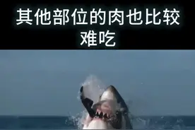 虎鲸为什么只吃大白鲨的肝脏，而不吃肉呢？ @DOU+小助手视频封面