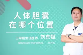 人体胆囊在哪个位置