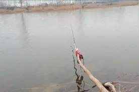 大猛去河边垂钓发现鱼竿太短，急中生智重新做了一根加长版