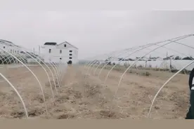 搭建西瓜大棚如何预防雪灾，风灾，水灾？瓜农分享实战经验视频封面