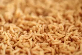 五谷神虫人类美食