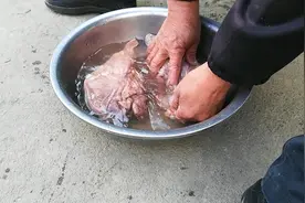 2个野猪肚子800元，不知道真假，有认识野猪肚的吗？