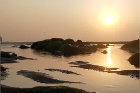 世界上最适合人类居住的地方，山东威海黄金海岸赶海乐悠悠视频封面