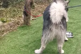 M码和XL码的区别…