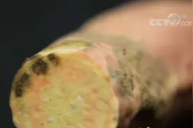 红薯表皮发黑到底能不能吃？视频封面