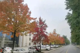 驻马店市最好的大学，黄淮学院
一条路两季景，一家人参观游览多视频封面