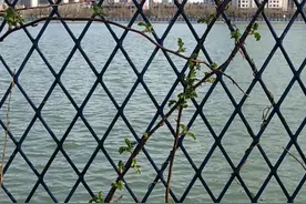 滨海新区的饮用水大家知道吗