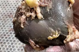 驴腰子也叫驴肾视频封面