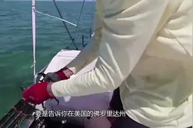 俩钳子都没了，螃蟹怎么吃饭，没法吃饭怎么再长出来呢