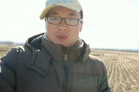 农村普及了的绿色的东西是什么？