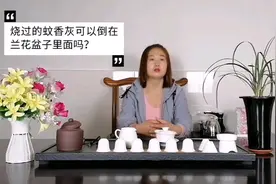 烧过的蚊香灰可以放一些在兰花盆子里面吗？视频封面