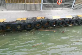 动量定理——岸边轮胎对靠岸渡轮的缓冲作用视频封面