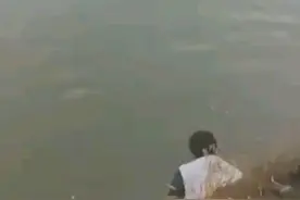 现实版鲤鱼打挺视频封面