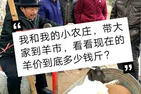 现在活羊价格到底多少？小农庄带您到羊市看一看真实的交易情况视频封面