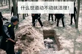 （经典短剧）黑社会太猖狂，动不动就活埋！老板尽然是？视频封面