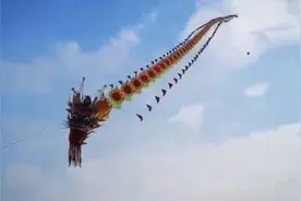 中国第一大龙风筝视频封面