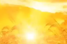 通联支付招合伙人视频封面