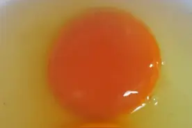这红心鸡蛋太妖娆，不知道是更有营养，还是有添加剂会对人体有害视频封面