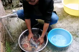 灵芝的吃法—灵芝乌鸡汤，冬天进补最佳膳食视频封面