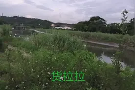 每天给大家分享做货啦啦的收入。