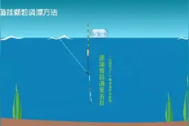 猎青 钓青鱼挂颗粒调漂动画演示