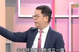 台湾节目讲阿里巴巴新成立的芯片公司“平头哥”。视频封面