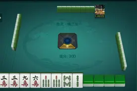 血流麻将：平胡妙手回春直接安排了，大赢家他不香吗？