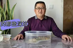 揭开观赏鱼专用盐的神秘面纱，细说盐对鱼的作用，避开商家挖的坑