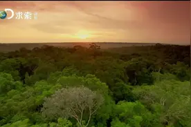 探索纪录片：拉美野生大地1 - 亚马逊雨林的狂暴