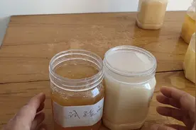 野生蜂蜜与人工养殖蜂蜜有什么区别