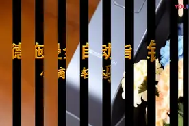 指纹锁徳施曼买回家不会用？一个视频就搞定！