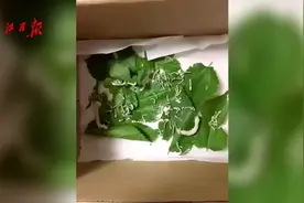 带蚕宝宝坐地铁被拦下，你站哪方？