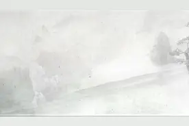 幸福树如何制作盆景？花匠大叔手把手教你，值得收藏！视频封面