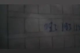 235期福彩3D有没有视频封面