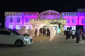 印度人吃饭，为什么人人都用香蕉叶当盘子，哪里来那么多香蕉叶